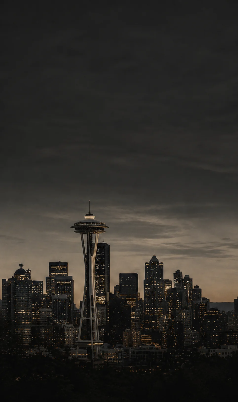 Seattle skyline representing local support in Washington